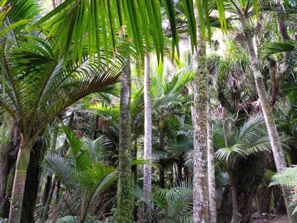 The Ghost Lodge Granity Ngoại thất bức ảnh